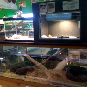 photo7