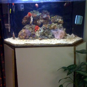 photo41