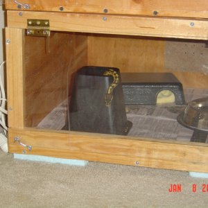 new hide