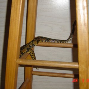 playing on a stool