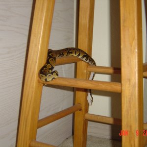 playing on a stool
