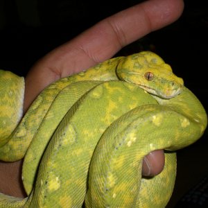 Lovely animals