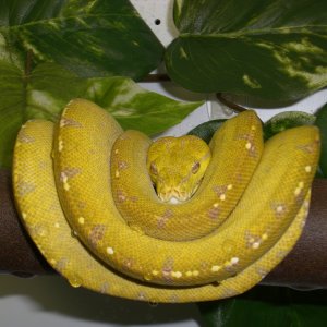 Lovely animals