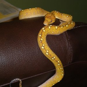 Lovely animals