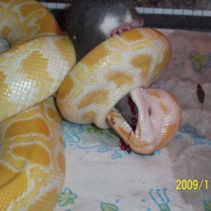 kelly_s_camera_084