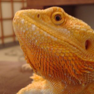 DSC01153