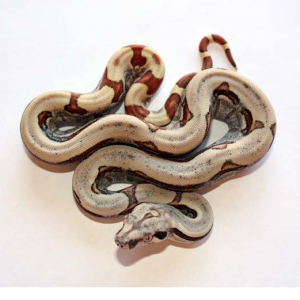 Hypo Jungle