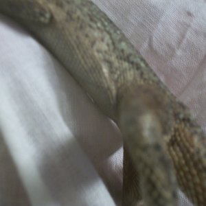 things_198