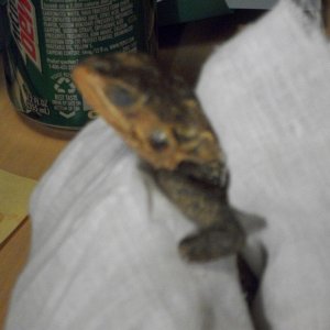 things_201