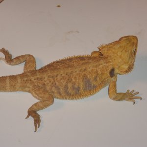 P4200206