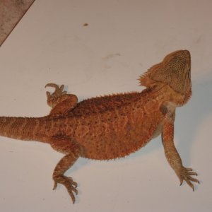 P4200207