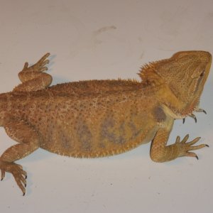P4200209