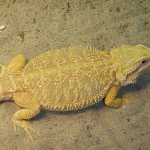 P4200214