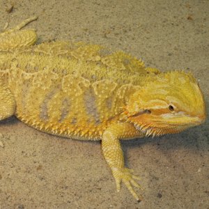 P4200216
