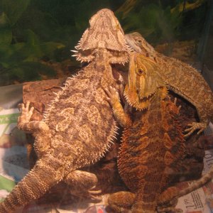 Big Mama, C.B. and Mr. M