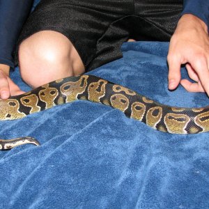 Neo at 2 years old