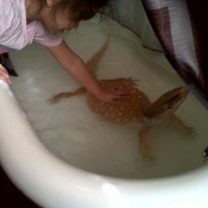 2010_eggs_346