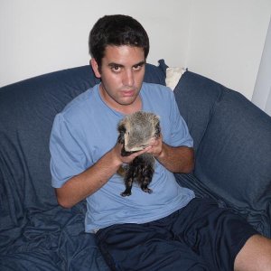 Rare Baby Grison