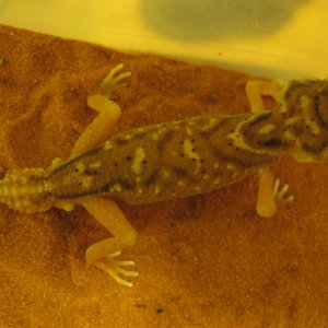 male1-2