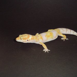 10-005