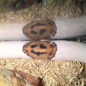 my smiley pied