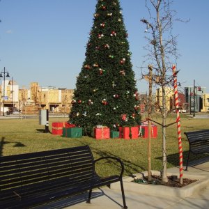 XMAS 2009