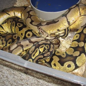 Image00001