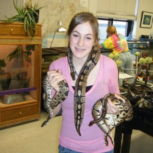 Boy Ball Pythons