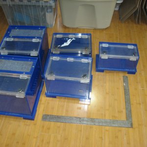 display boxes