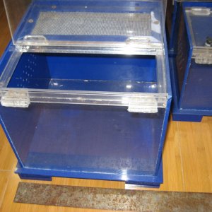 display boxes