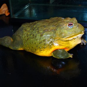 P3121079