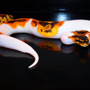 P1220756