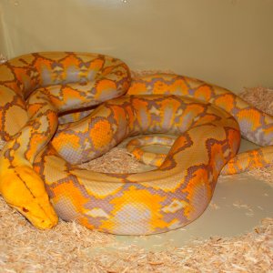 P2110951