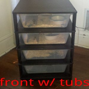 rack with tubs