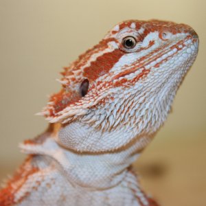 076