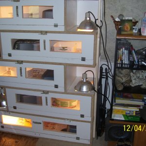 heres some balls and new cage