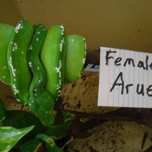 Picture_301