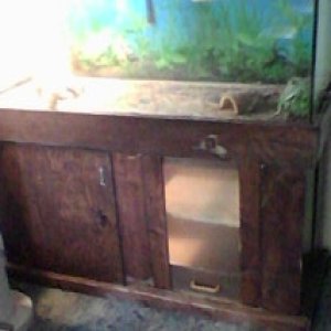 For Sale