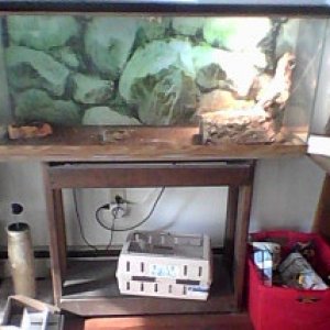 For Sale