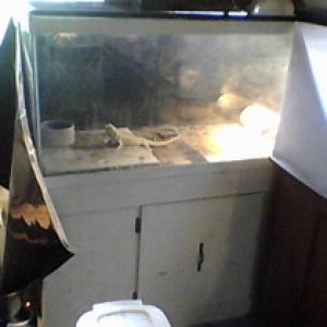 For Sale