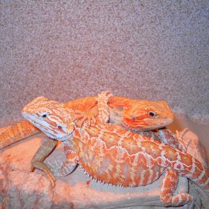 Autumn and Cammi