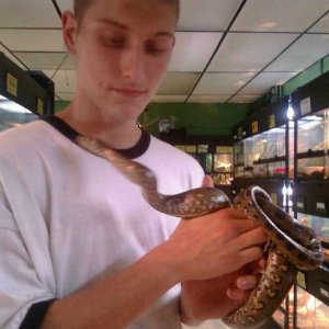 Green Anaconda
