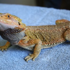 IMG_1561