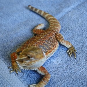 IMG_1575