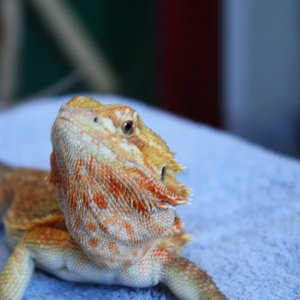 IMG_1589