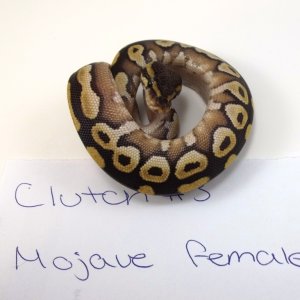 2011 Mojave F