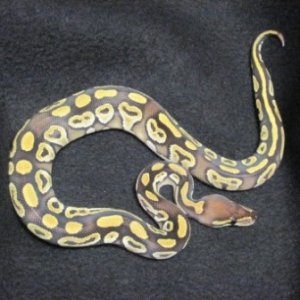 11-05-04b1