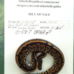 reciept_from_Mike_Bell