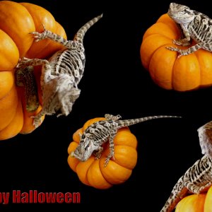 Halloween two