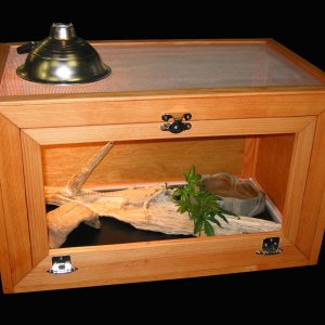 30_L_x_18_H_x_18_D_bearded_dragon_cagecompany_com